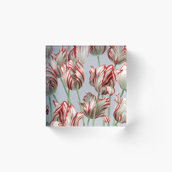 Tulipomania - The Semper Augustus Acrylic Block
