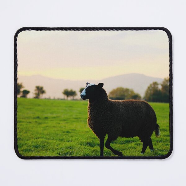 Item preview, Cilla the Zwartbles designed and sold by thegreendogs.