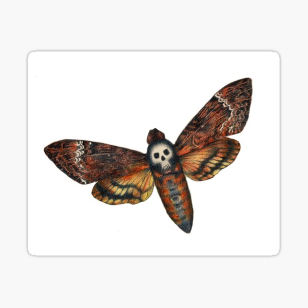 DeathsHead Moth Sticker