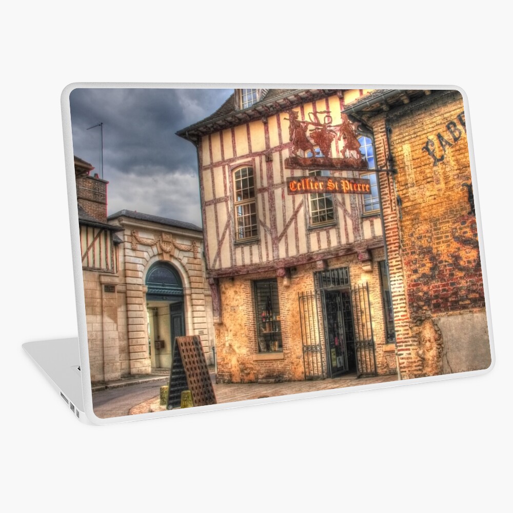 Item preview, Laptop Skin designed and sold by MaluC.