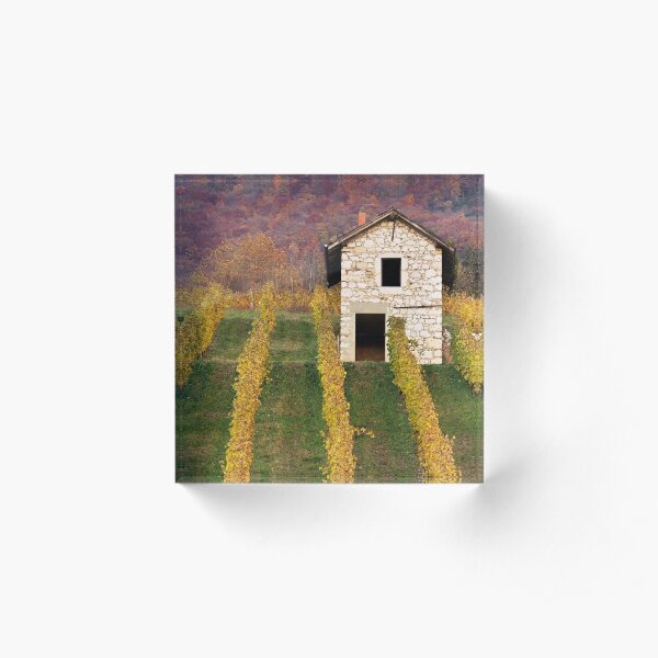 Autumn light in the vineyard Acrylic Block
