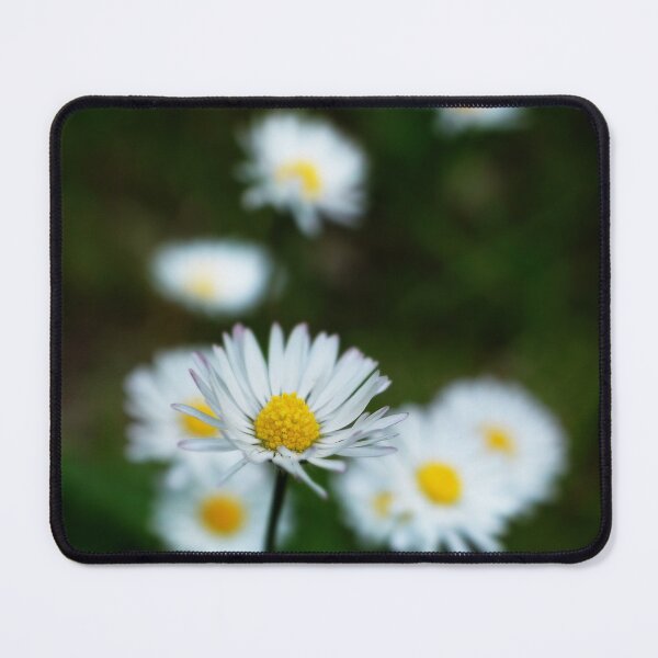 Item preview, daisy designed and sold by Anowi.