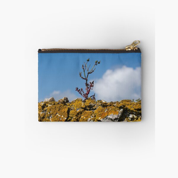 Item preview, Life on the Wall designed and sold by mikebov.