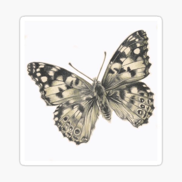 Monochrome Painted Lady Butterfly Graphic by ValentynaS  Creative Fabrica