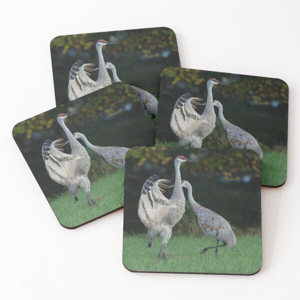 Item preview, Sandhill Crane Spreads wing in breeding display  designed and sold by Steven Holt.