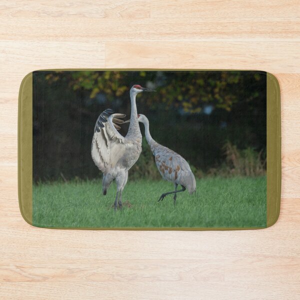 Item preview, Sandhill Crane Spreads wing in breeding display  designed and sold by Steven Holt.