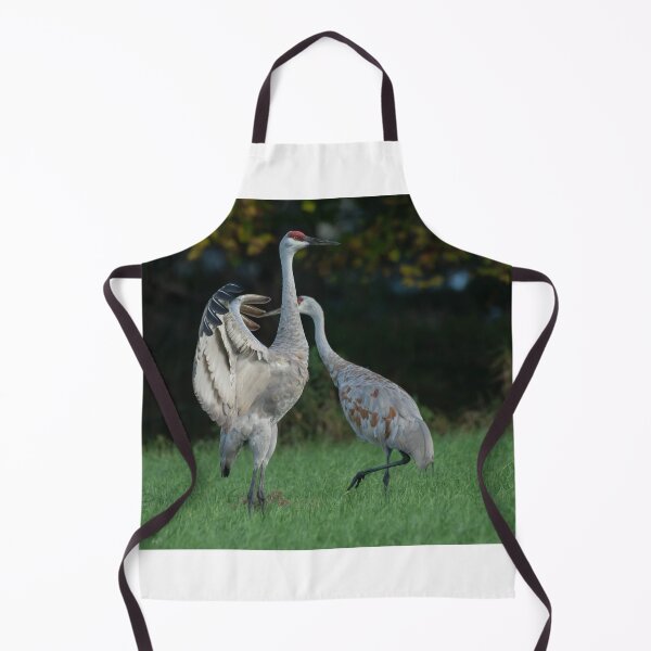 Item preview, Sandhill Crane Spreads wing in breeding display  designed and sold by Steven Holt.