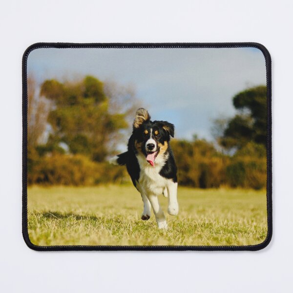 Item preview, Susan on the Run designed and sold by thegreendogs.