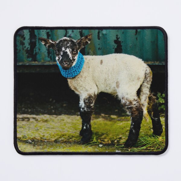 Item preview, Jack the Pet Lamb designed and sold by thegreendogs.