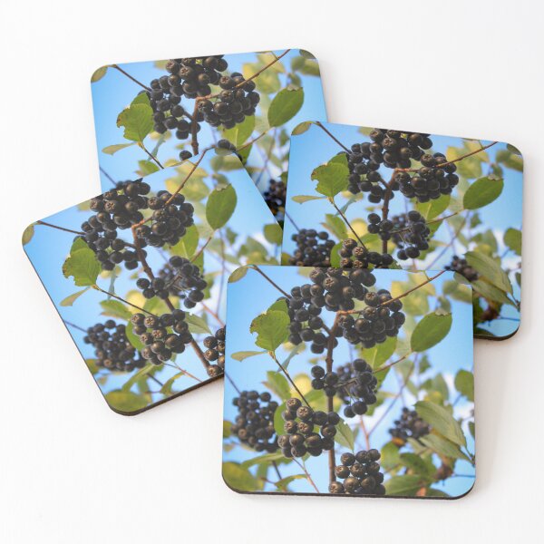 Item preview, Beautiful chokeberry berries designed and sold by Mahirov Shop.
