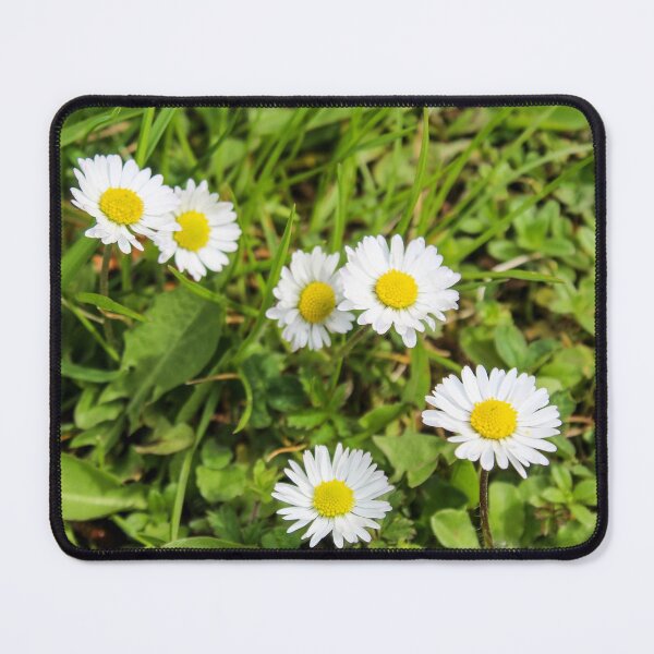 Item preview, Lawn with daisies designed and sold by Mahirov Shop.