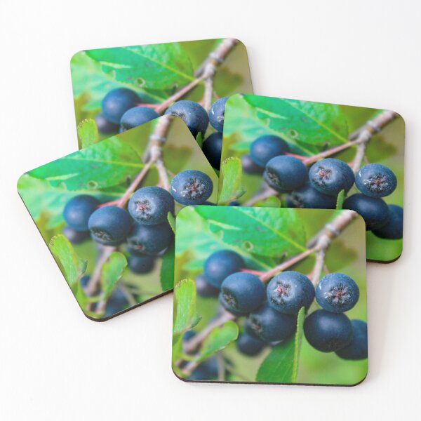 Item preview, Beautiful aronia berries designed and sold by Mahirov Shop.