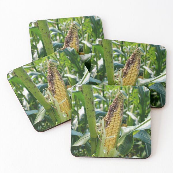 Item preview, Peeled corn on a cob on a stalk designed and sold by Mahirov Shop.