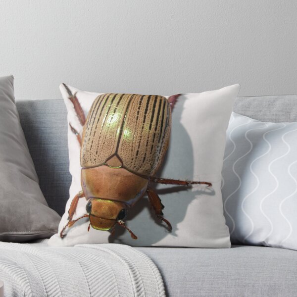 Artikelvorschau, Christmas Beetle entworfen und verkauft von Jason Dymock Photography.