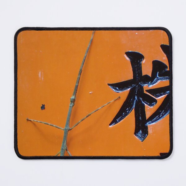 Item preview, Stick insect designed and sold by Chloé Sauvage.
