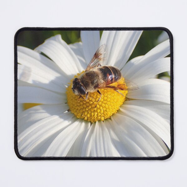 Item preview, Bee 1 designed and sold by Chloé Sauvage.
