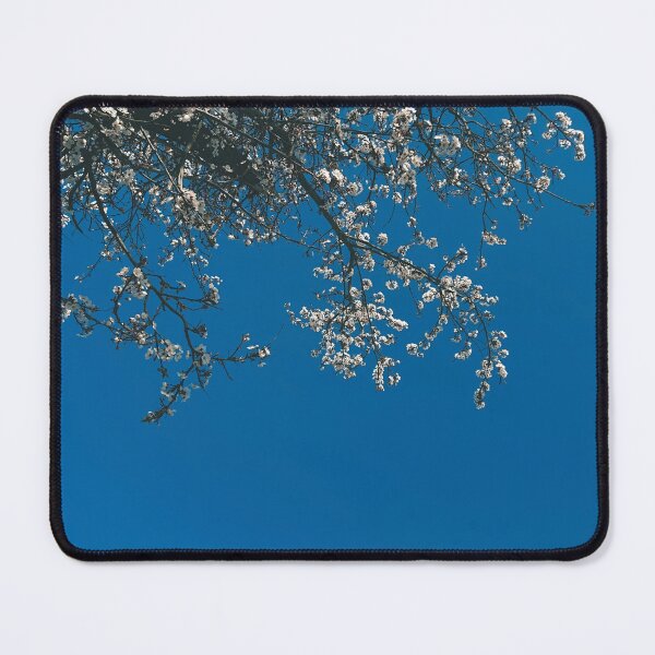 Item preview, blossoms of a tree and the blue sky designed and sold by greatnorris.