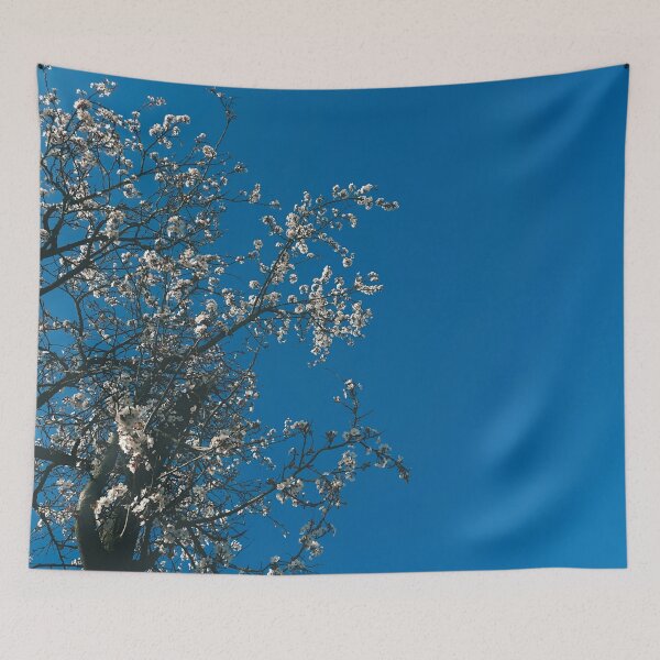 Item preview, blossoms of a tree and the blue sky designed and sold by greatnorris.