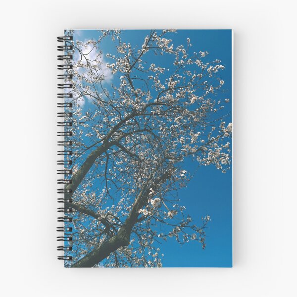 Item preview, blossoms of a tree and the blue sky designed and sold by greatnorris.