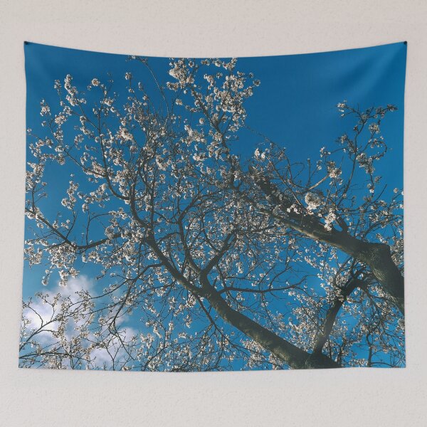 Item preview, blossoms of a tree and the blue sky designed and sold by greatnorris.