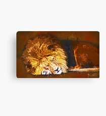 Let Sleeping Lions Lie Canvas Print