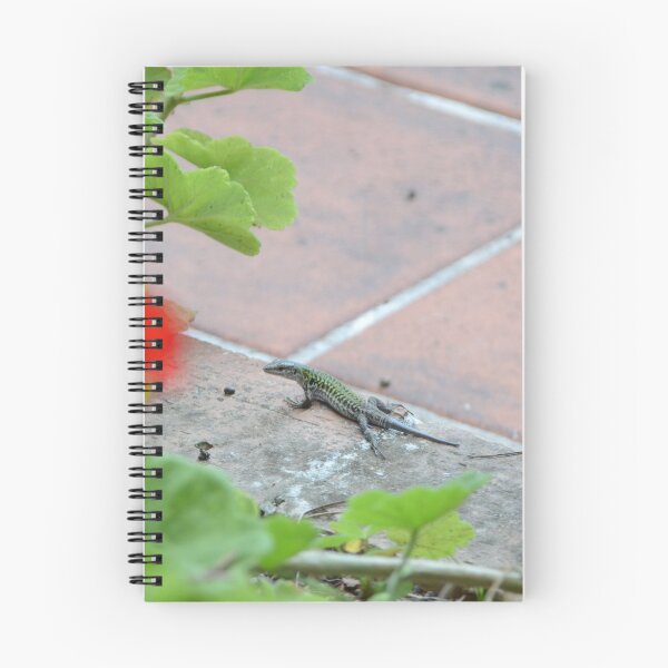 Item preview, Green Lizard designed and sold by Malcolm Snook.