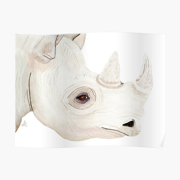 Rhino Watercolor Poster