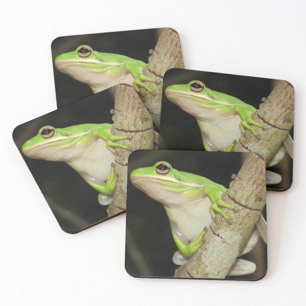 Item preview, What ya doin'? Tree frog designed and sold by Kellis-wellness.