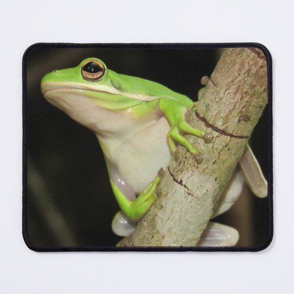 Item preview, What ya doin'? Tree frog designed and sold by Kellis-wellness.