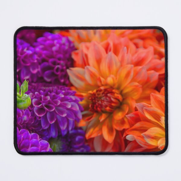 Item preview, USA. Seattle. Pike Place Market. Variety of Mum's Flowers.  designed and sold by vadim19.