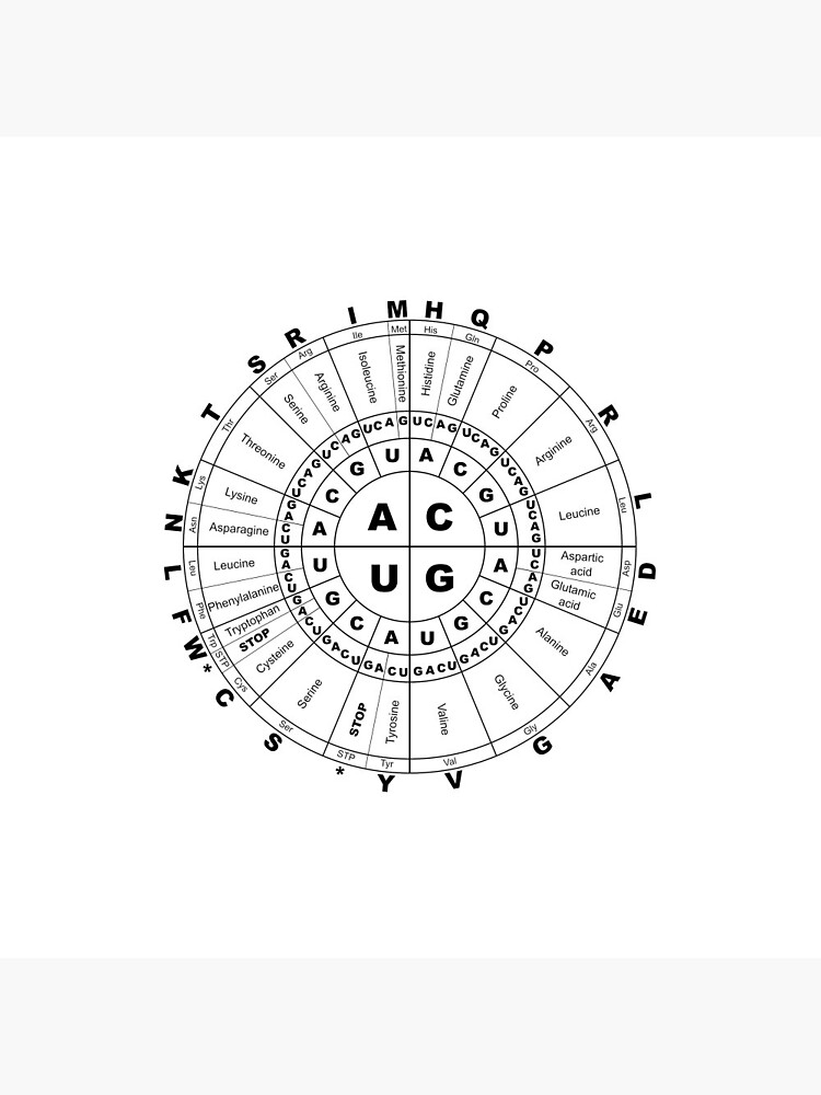 Pin on Reference Charts