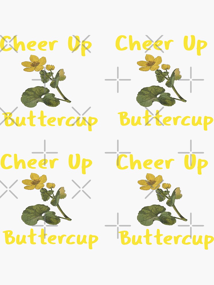 "Cheer Up Buttercup" Sticker for Sale by LMcDs Redbubble