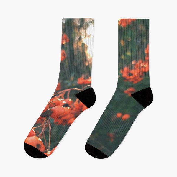 Item preview, Orange berries during sunset - Photography designed and sold by greatnorris.
