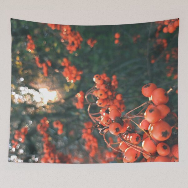Item preview, Orange berries during sunset - Photography designed and sold by greatnorris.