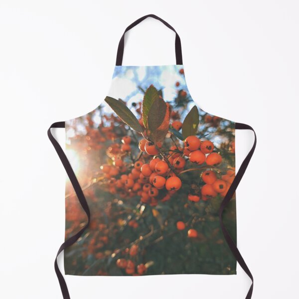 Item preview, Orange berries during sunset - Photography designed and sold by greatnorris.