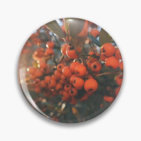 Item preview, Orange berries during sunset - Photography designed and sold by greatnorris.