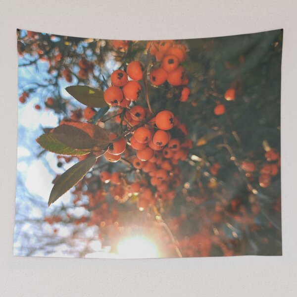 Item preview, Orange berries during sunset - Photography designed and sold by greatnorris.
