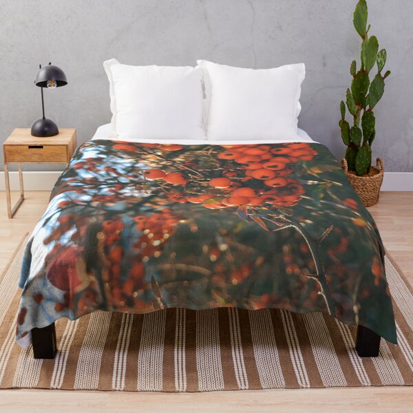 Item preview, Orange berries during sunset - Photography designed and sold by greatnorris.