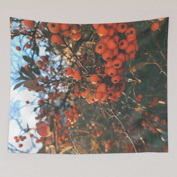 Item preview, Orange berries during sunset - Photography designed and sold by greatnorris.