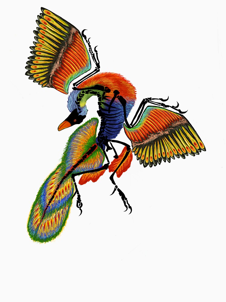 Archaeopteryx pullover sales