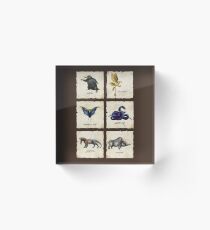 Awesome Creaturess Acrylic Block