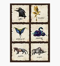 Awesome Creaturess Photographic Print