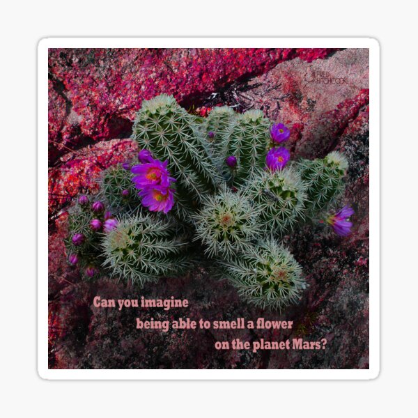 Martian Flower Sticker