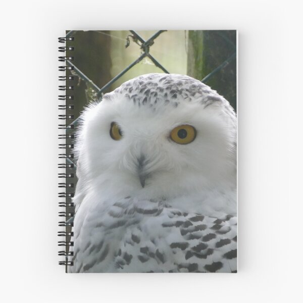 Item preview, Hibou designed and sold by willy92.