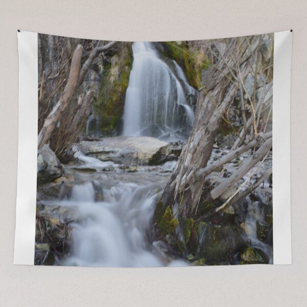 Aperçu de l'œuvre Carson City, Nevada - Cascade de Kings Canyon créée et vendue par Kathleen Douglas.