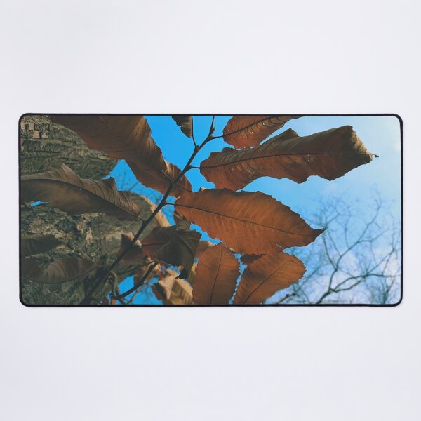 Item preview, Autumn leaves on a tree - The colors of autumn - Photography designed and sold by greatnorris.