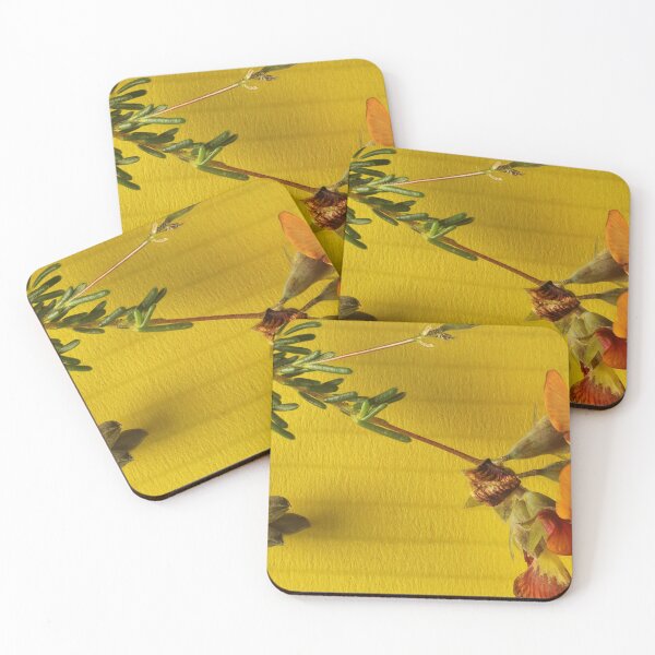 Item preview, Red Parrot-Pea (Dillwynia hispida) in flower, South Australia designed and sold by NanaRusty.