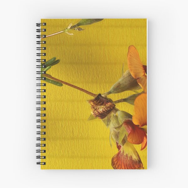 Item preview, Red Parrot-Pea (Dillwynia hispida) in flower, South Australia designed and sold by NanaRusty.