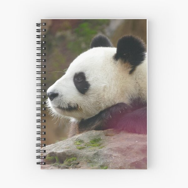 Item preview, Panda designed and sold by willy92.