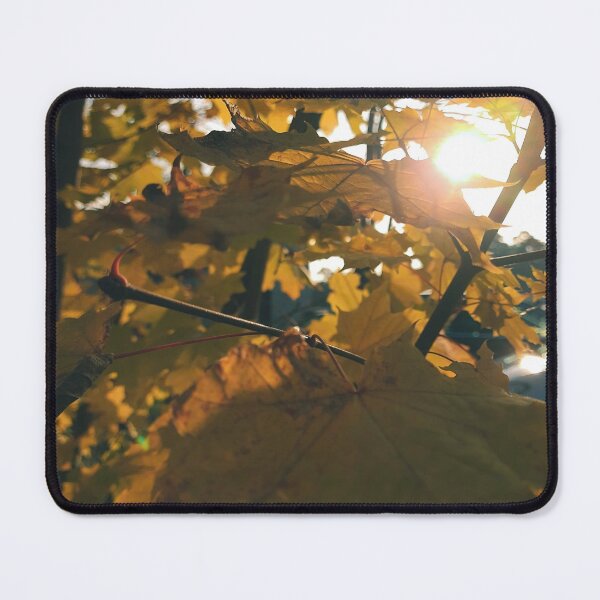 Item preview, Sun shines trough autumn leaves - The colors of autumn - Photography designed and sold by greatnorris.